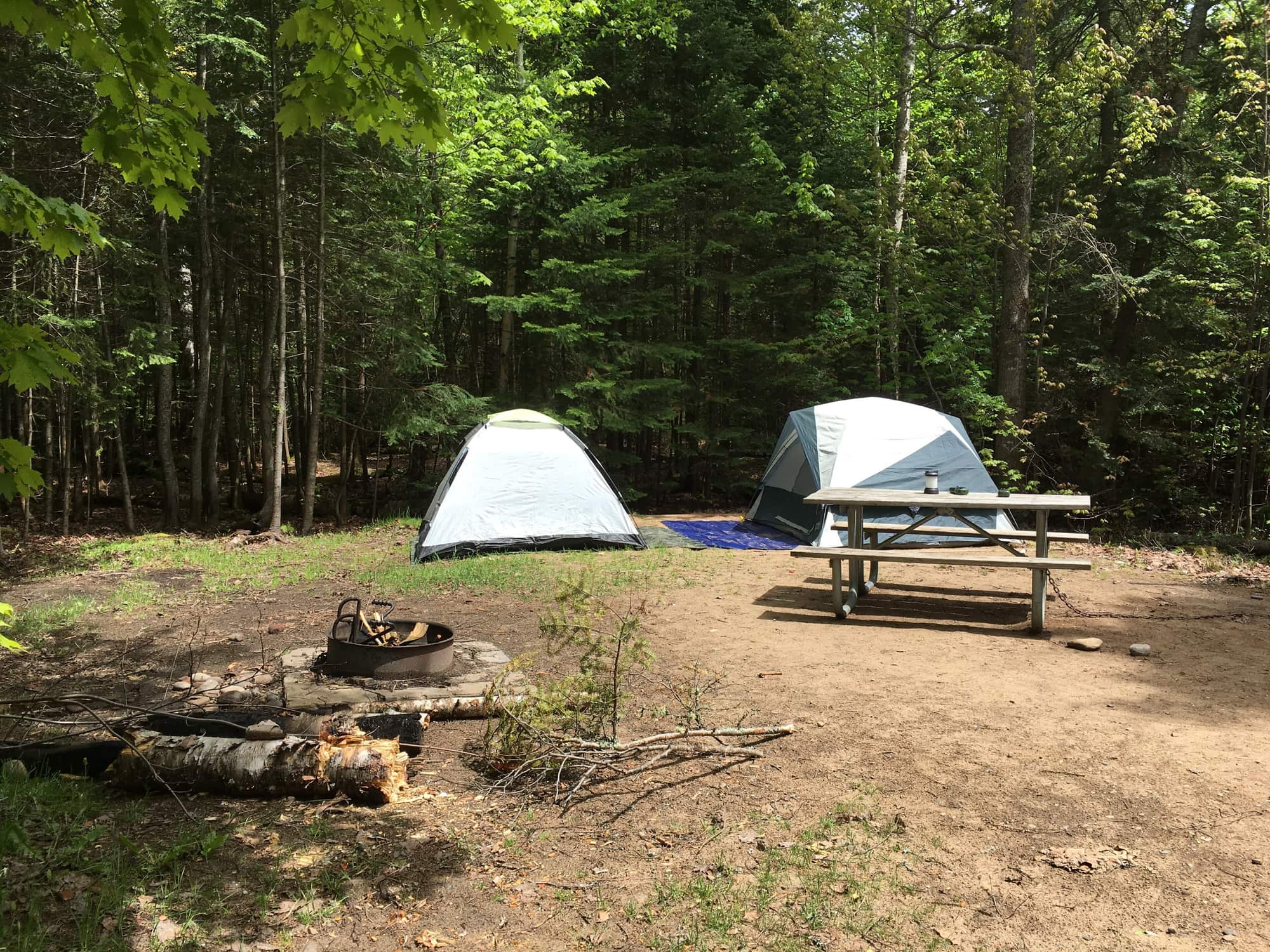 Área de camping entre as árvores, com duas barracas, uma mesa e uma fogueira